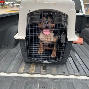 Meet your Posher, Kyso